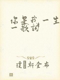 你是我一生的唯一歌词