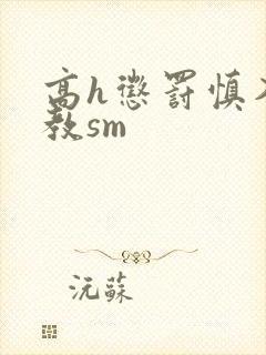 高h惩罚慎入调教sm