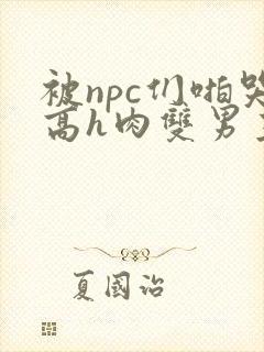 被npc们啪哭高h肉双男主小说