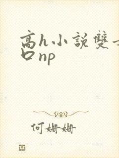 高h小说双女重口np