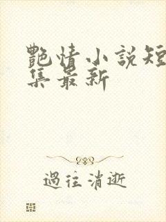 艳情小说短篇合集最新封面