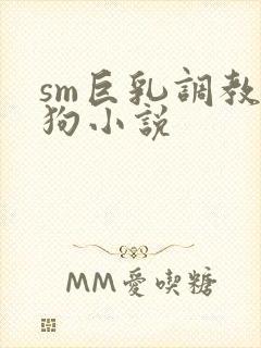 sm巨乳调教母狗小说