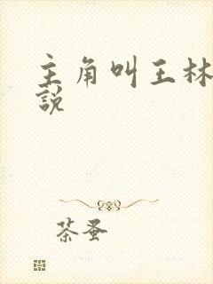 主角叫王林的小说