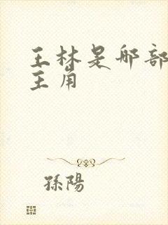 王林是哪部小说主角