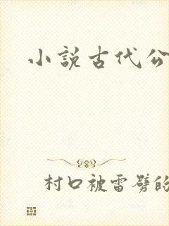 小说古代公主