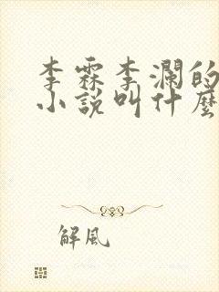 李霖李澜的官场小说叫什么名字啊封面