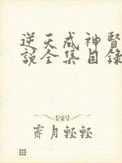 逆天成神贤君小说全集目录