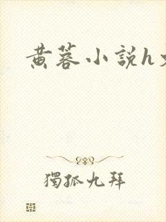 黄蓉小说h文封面