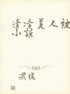 清冷美人被爆操小说