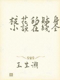 校花的贴身高手小说在线全文免费阅读封面