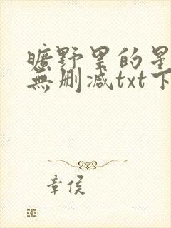 旷野里的星小说无删减txt下载