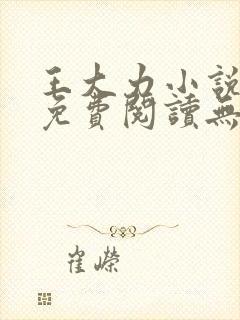 王大力小说小说免费阅读无弹窗