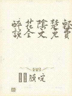 醉花阴楚轻染小说全文免费阅读封面