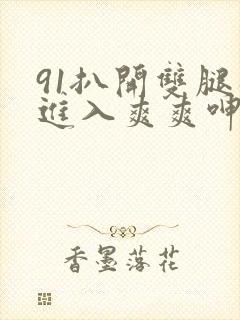 91扒开双腿猛进入爽爽呻吟