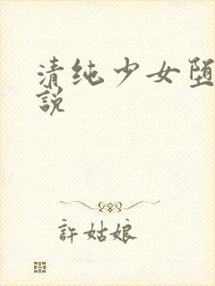 清纯少女堕落小说封面