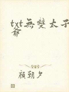 txt无双太子爷