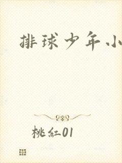 排球少年小说