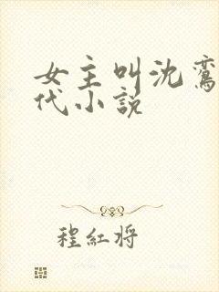 女主叫沈鸾的古代小说