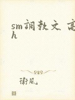 sm调教文 高h