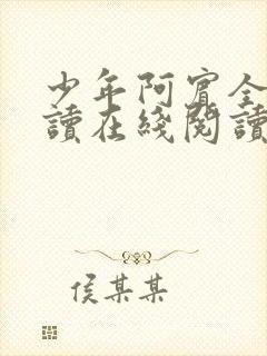 少年阿宾全文阅读在线阅读全文封面