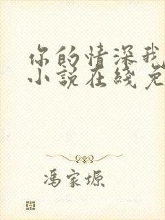 你的情深我不配小说在线免费阅读