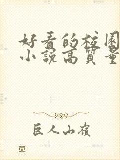 好看的校园言情小说高质量文笔好封面