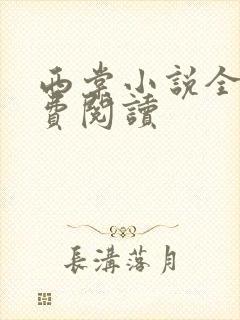 西棠小说全文免费阅读