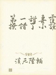 第一甜妻霍先生撩错了小说结局