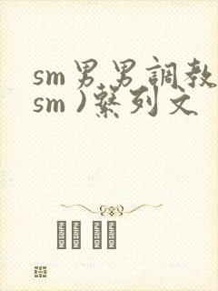 sm男男调教(sm )系列文封面