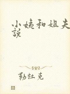 小姨和姐夫的小说封面