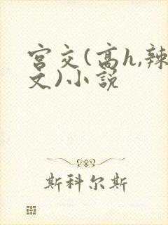 宫交(高h,辣文)小说