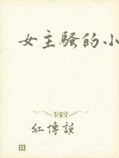 女主骚的小说