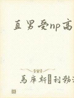 直男受np高h