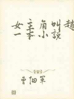 女主角叫赵琳的一本小说