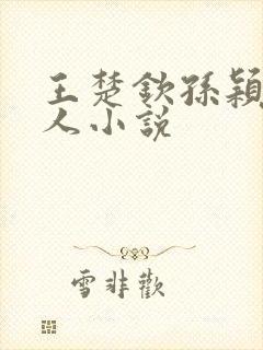 王楚钦孙颖莎同人小说