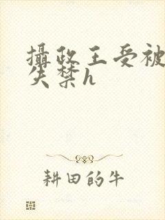 摄政王受被肉到失禁h