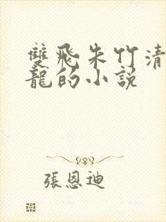 双飞朱竹清柳二龙的小说