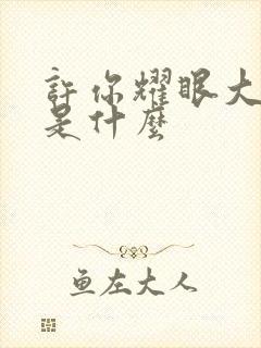 许你耀眼大结局是什么