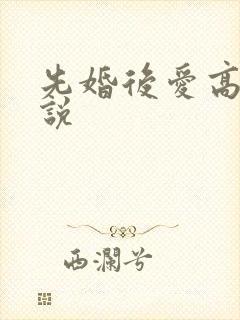 先婚后爱高h小说