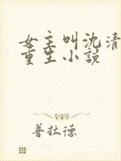 女主叫沈清璃的重生小说