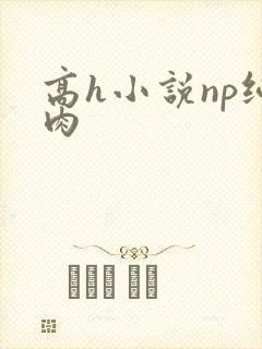 高h小说np纯肉