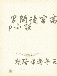 男开后宫高hnp小说