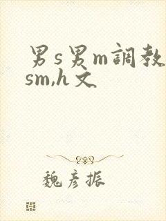 男s男m调教(sm,h文