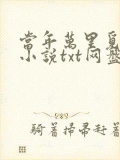 当年万里觅封侯小说txt网盘