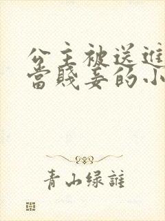 公主被送进王府当贱妾的小说