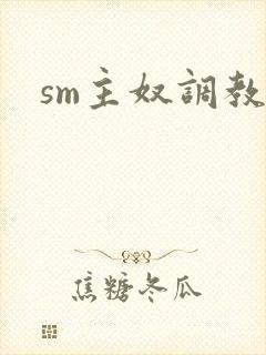 sm主奴调教文