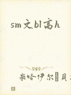 sm文bl高h
