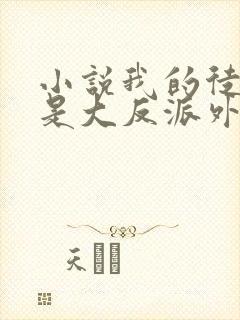 小说我的徒弟都是大反派外传