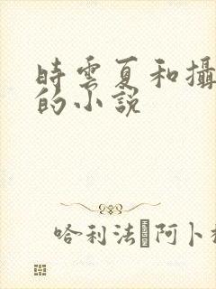 时云夏和摄政王的小说封面