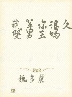 我等你很久了是双男主吗